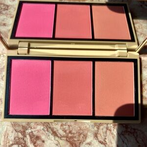 Jason Wu Blush Palette Pink and Plum, and Bronze. Vibrant Shades.